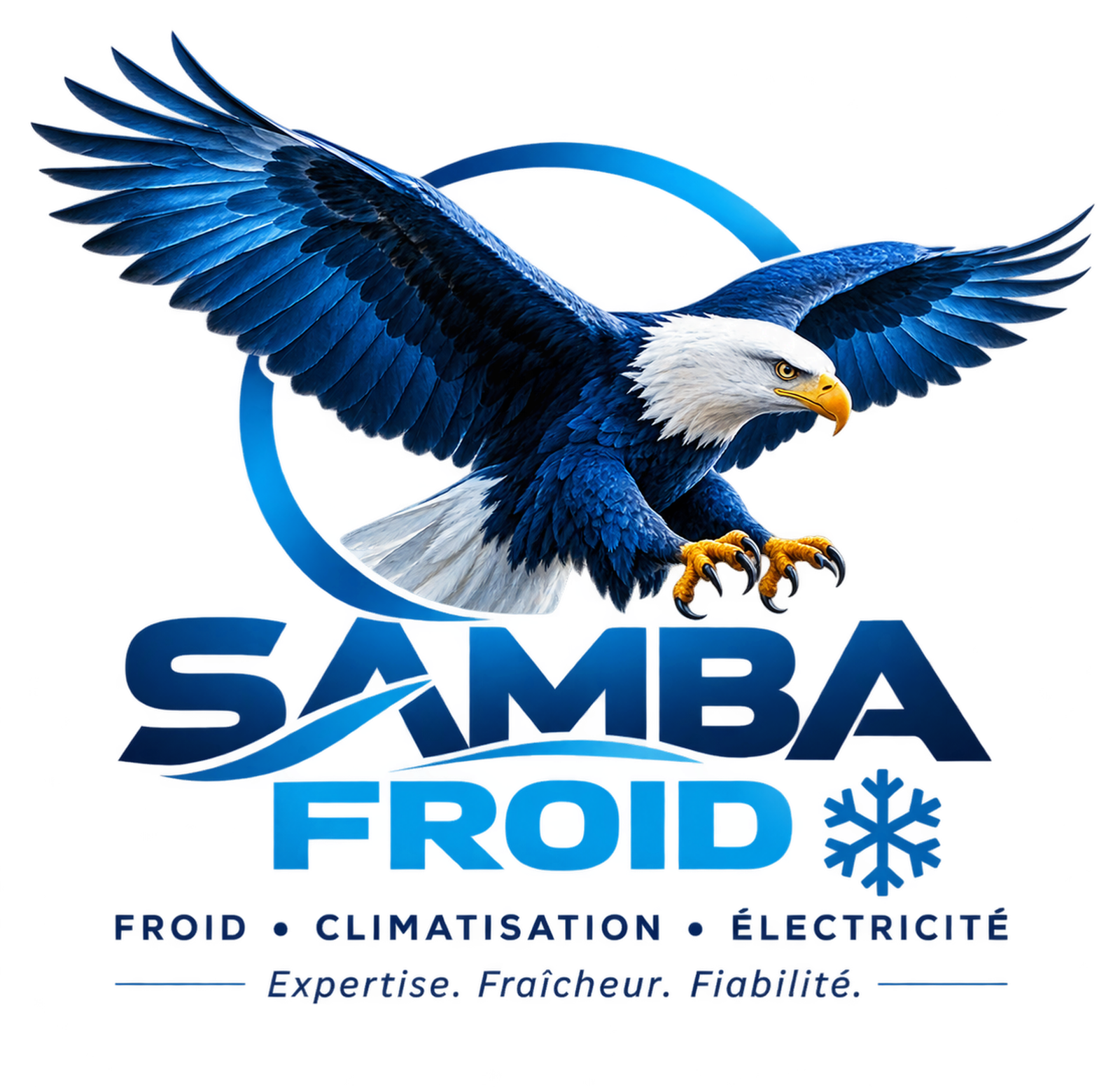 sambafroid.com